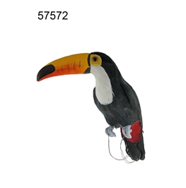 Toucan