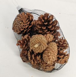 Pinecone in polybag